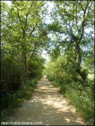 Aiguamolls Alt Emporda Costa Brava