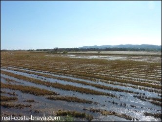 Baix Emporda Wetlands Costa Brava