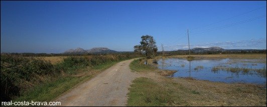 Baix Emporda Wetlands Costa Brava