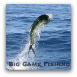 Fishing is excellent all year long on the Costa Brava. Let us take you to the best fishing spots. Join us on our big game fishing trips. Fun is guaranteed!